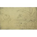 AFTER A J MUNNINGS, BLACK AND WHITE ETCHING, Horse Studies, 8" x 12"