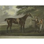 AFTER JOHN NOTT SARTORIOUS, ENGRAVED BY WHESSELL, HAND COLOURED SOFT GROUND ETCHING, PUBLISHED 1799,