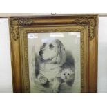 A Charcoal Drawing heightened in white depicting a Labrador and a terrier peering out of an opening,
