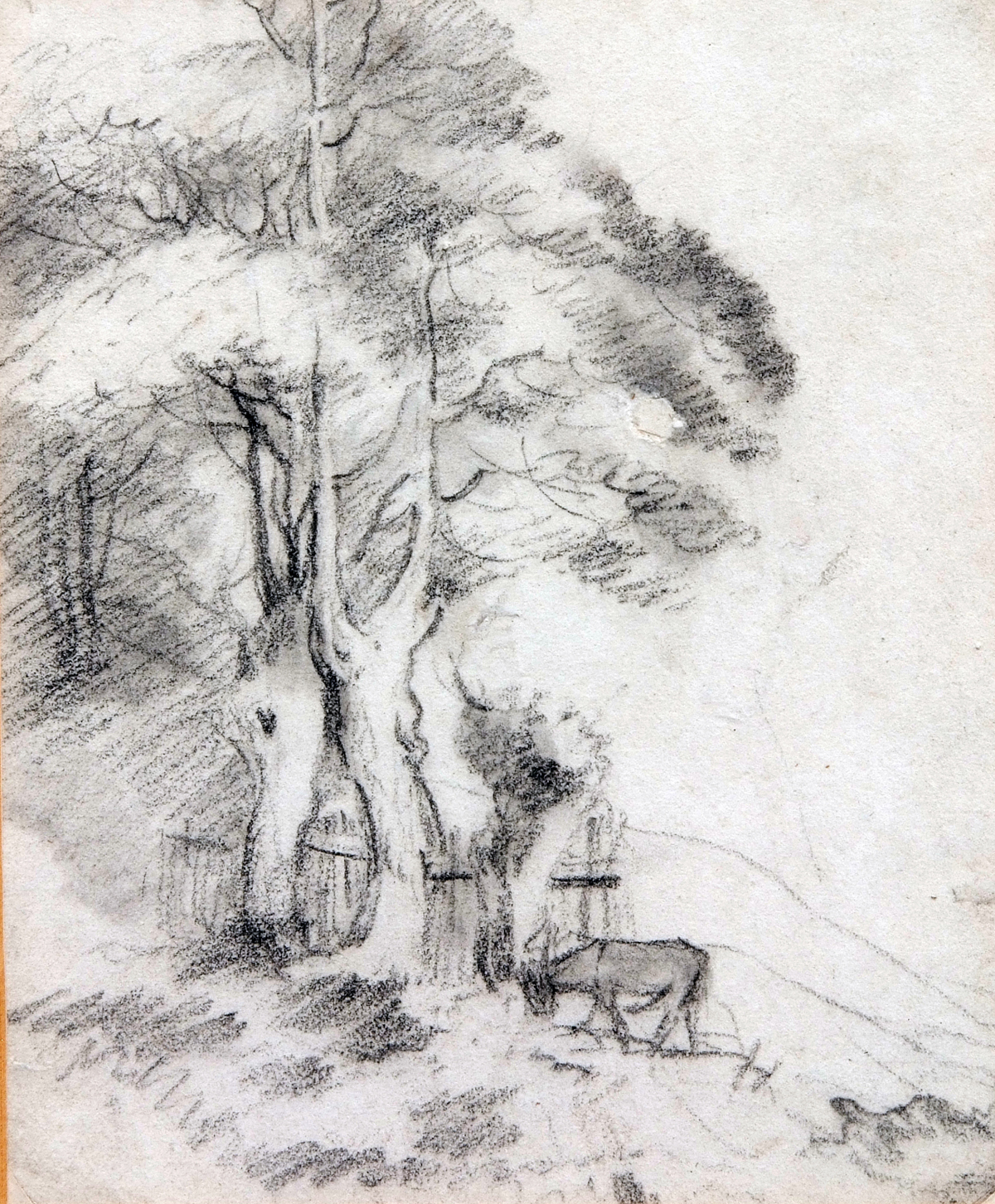 GEORGE FROST (1754-1821, BRITISH) 
Horse by a Tree
pencil drawing
8 x 6 ins
Provenance: David
