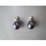 18ct white gold and black pearl ear studs good condition