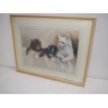 Framed and glazed oil painting study of 3 cats 29x39cm Condition: Fair