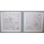 Pair black and white floral drawing and pair of watercolours "flowers" sgd and one other