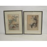 After Keinen (1845-1924) - A set of 8 bird prints ( 6 framed & glazed)