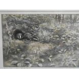 After P Curling LE colour print "Badgers in the Dell" 99/150 20x29 framed and glazed an oval