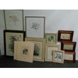 Set of three small prints of swans in maple frames, and a quantity of floral water-colours and