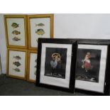 After Pretre, set of four colour prints "Shells" framed and glazed, set of four colour prints "