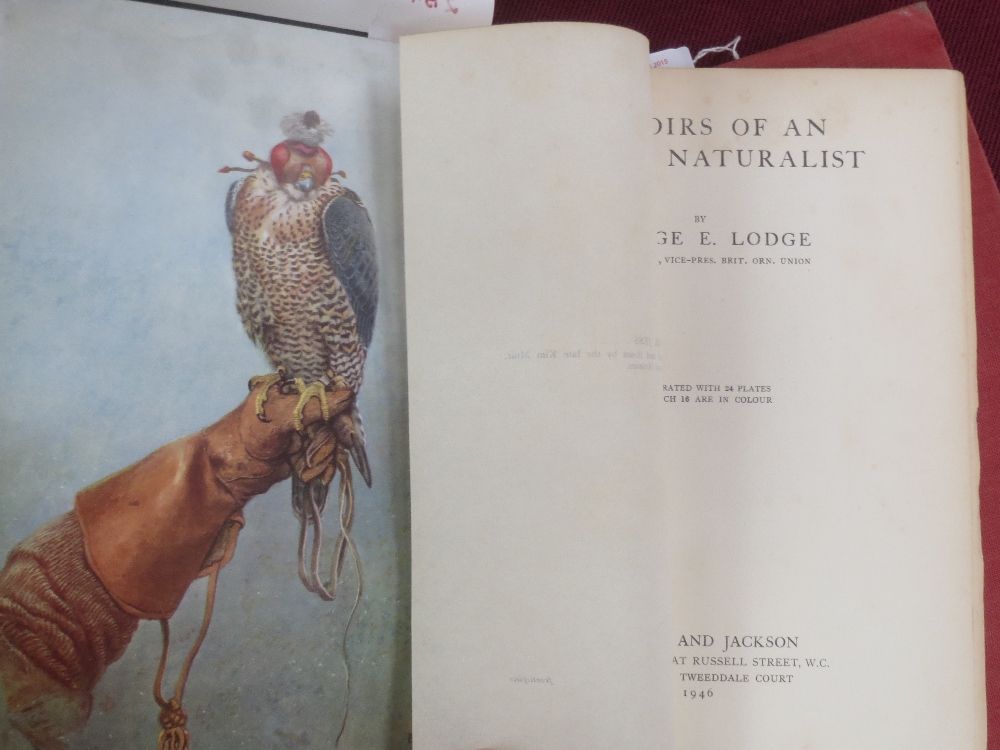 Lodge, George: Memoirs of an Artist Naturalist, 1946. Coloured plates H. von Michaelis: Birds of the - Image 2 of 2