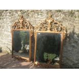 Pair of Giltwood mirrors in the C18th taste with foliate scroll creating 135cm H