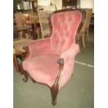 Victorian spoon back armchair with show wood frame , velvet upholstery on cabriole legs