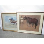 Two Susan Crawford signed prints of thoroughbreds, Red Rum and Ribot