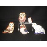 5 assorted Royal Crown Derby 'Owl' paperweights, all boxed