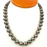 Lady's Single Strand Tahitian Black Pearl Necklace with 14 Karat White Gold and Diamond Clasp.