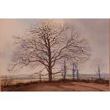 Cavendish Morton (1911-2015) - Winter trees on the Isle of Wight, watercolour, signed and dated