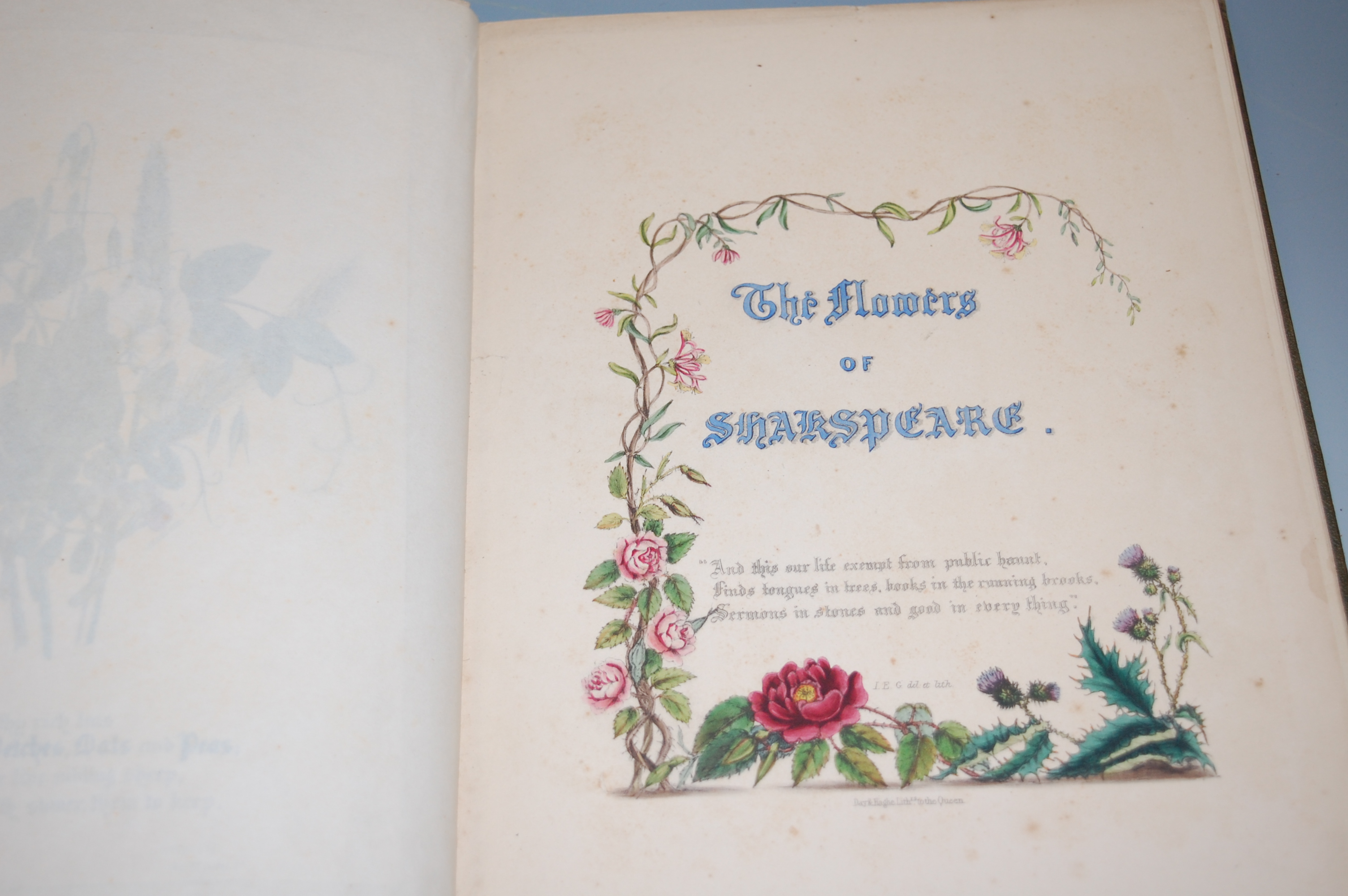 GURAUD Jane Elizabeth, the Flowers of Shakespeare, London 1846, Sm folio, original cloth, re-backed, - Image 2 of 3