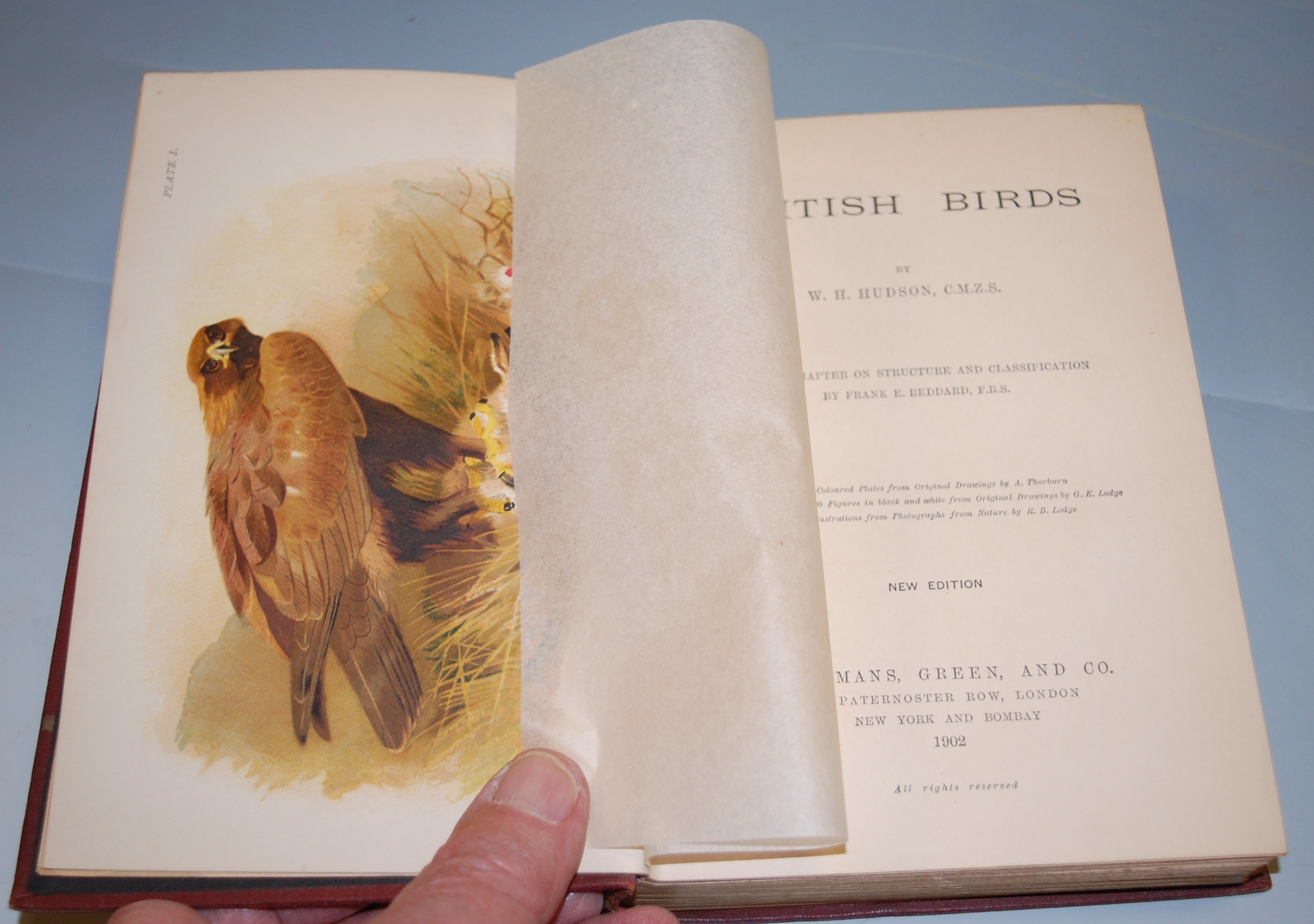 HUDSON W.H. Birds in London, London 1898, 1st edition, 8vo cloth; British Birds 1902, 8vo cloth, a. - Image 5 of 8