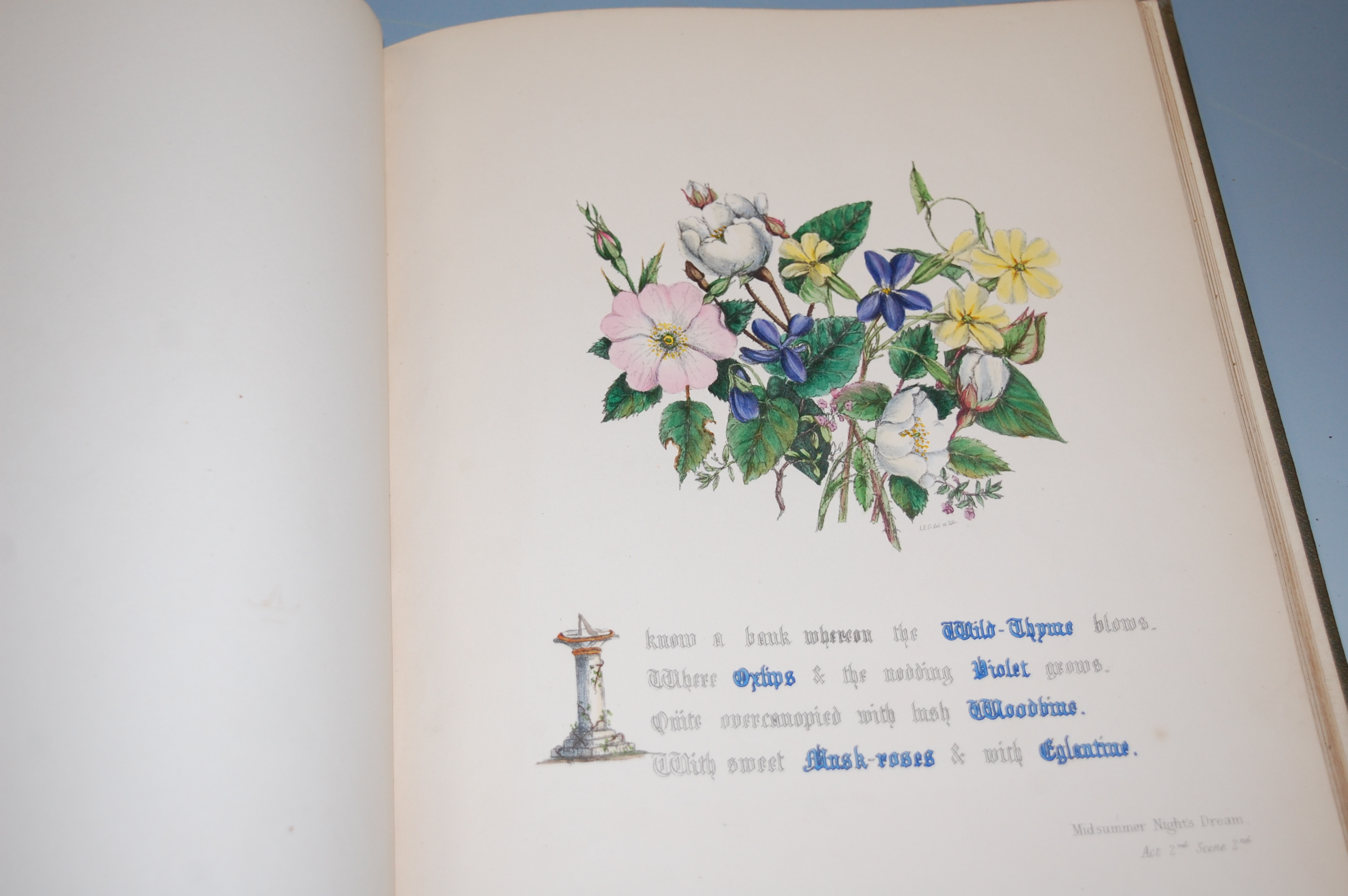 GURAUD Jane Elizabeth, the Flowers of Shakespeare, London 1846, Sm folio, original cloth, re-backed, - Image 3 of 3