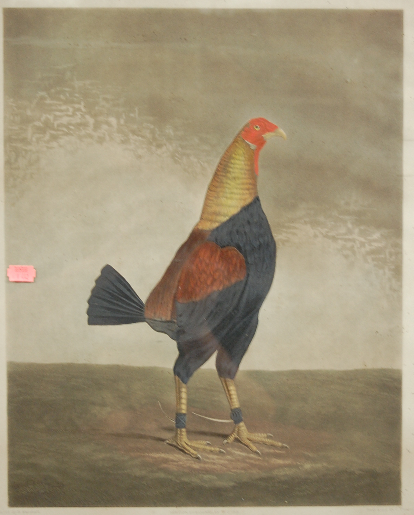 After B Marshall - Pair; War and Peace, colour engravings of cock hens by C Turner, 50 x 39.