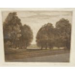 Alfred Blundell - The Forest, Cavenham, etching, signed and titled in pencil to the margin,