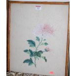 A set of three botanical watercolours unsigned and in bamboo frames (a/f) each 40x32cm Provenance -