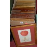 A set of 9 reproduction framed prints of fruit,