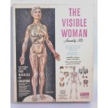 Renwal 1/5th scale plastic kit for "The Visible Woman", appears as issued,