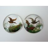 A pair of 'Essex crystals' painted reverse intaglio, depicting game birds in flight, late 19th /