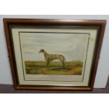 Framed picture - greyhound