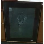 Framed picture - deer