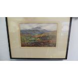 Signed watercolour - Highland Scene