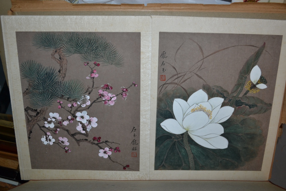 Set of four Chinese paintings, studies of various blossom and foliage, all signed and stamped with - Image 2 of 2