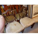 Set of four 19th Century mahogany shield back dining chairs with original upholstery raised on