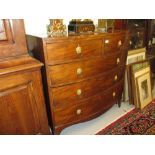 Regency mahogany bow front chest of two short and three long graduated drawers with gilt brass lion