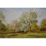 Peter Walbourn, oil on board, willows at Friars Farm, Hatfield Heath, signed, 11.5ins x 17.5ins,