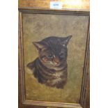 Attributed to Frank Paton, oil on canvas, portrait of a cat, inscribed on frame plaque, 14ins x