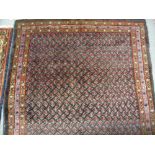 Hamadan rug with all-over small Boteh design on a dark ground with multiple borders,