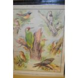 Two folios containing a quantity of various educational school posters,