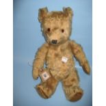 Mid 20th Century gold plush covered teddy bear with jointed arms and glass eyes