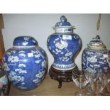 Late 18th / early 19th Century Chinese blue and white ginger jar and cover decorated with prunus