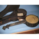 Jolli Joe ukelele in fitted case