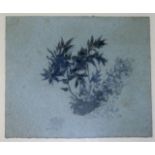 JOHN RUSKIN (1819-1900) STUDY OF WEEDS Grey wash on blue paper Sheet 9 x 10.5cm.; with an ink and