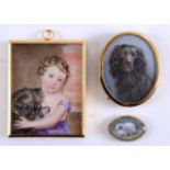 A MINIATURE PORTRAIT of a Pekinese dog on ivory, set in an 18th century oval frame with pearl