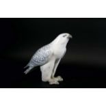 ROYAL COPENHAGEN - ICELANDIC FALCON Model Number 263 and sculpted by Christian Thomsen. Marked,