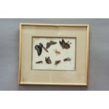 A SET OF FOUR CHINESE PITH PAINTINGS of insects, image 5 3/4ins. (14.5cms.) x 7 3/4ins. (19.5cms.)