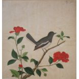 ANGLO-CHINESE SCHOOL, 19th CENTURY BIRD ON A FLOWERING BRANCH Inscribed Hy-Yin upper left,