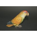 VIENNA COLD PAINTED BRONZE - PARROT a cold painted bronze figure of a Parrot, with a variety of