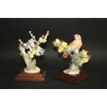 ROYAL WORCESTER BIRDS including RW3708 Blue Tit and Pussy Wlllow, issued in 1966 in a production