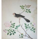 COMPANY SCHOOL, 19th CENTURY A BIRD UPON A ROSE BUSH Gouache 33 x 30cm. ++ Pale staining at right;
