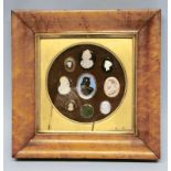 A FRAMED GROUP OF NINE CAMEOS shell, glass or plaster, late 19th - early 20th century, in glazed