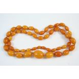 A SINGLE ROW GRADUATED AMBER BEAD NECKLACE 70cm. long, 37 grams.